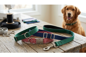 Accessories for DIY Projects Using Nylon Webbing