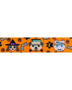 1/2 Inch Frightening Furbabies Polyester Webbing Closeout