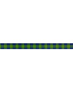 3/4 Inch Blue and Green Plaid Photo Quality Polyester