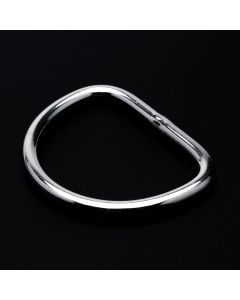 2 Inch Stainless Steel Welded D-Rings