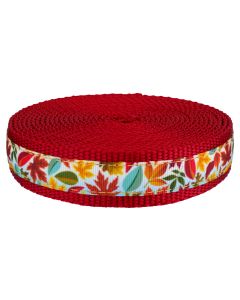 Red, Orange, Green, Yellow leafs ribbon sewin on red nylon