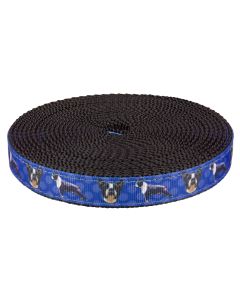 Two different Boston Terriers images. one standing sideways and the closeup of the face