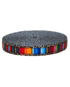 Serape styled ribbon sewn onto leopard print polyester webbing