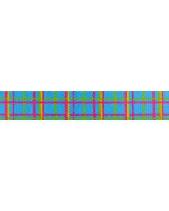 1/2 Inch Spring Blue Plaid Polyester Webbing Closeout, 1 Yard