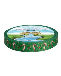 Repeating candy canes paired with delicate snowflake motifs, evenly spaced for a balanced pattern.