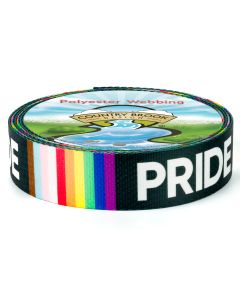 Black background with rainbow lines and the word Pride written in white around it