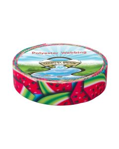 Icy Blue background with watermelons floating around