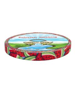 1/2 Inch Summer Melon Polyester Webbing