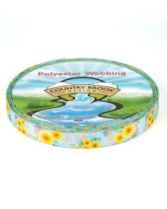 5/8 Inch Sunny Days Polyester Webbing