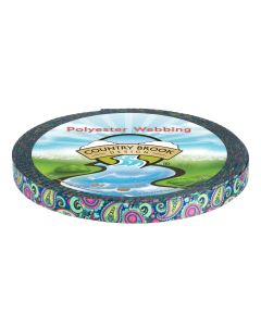 This webbing featuring a bright, colorful paisley pattern. The design includes swirling, teardrop-shaped paisley motifs in vibrant colors such as pink, teal, lime green, yellow, and blue, creating a lively and energetic look.