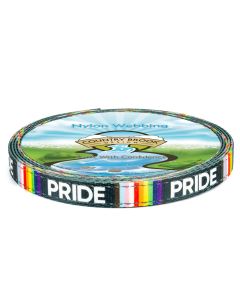 5/8 Inch Pride Reflective Polyester Webbing