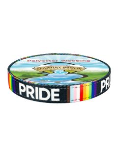 1 Inch Pride Reflective Polyester Webbing