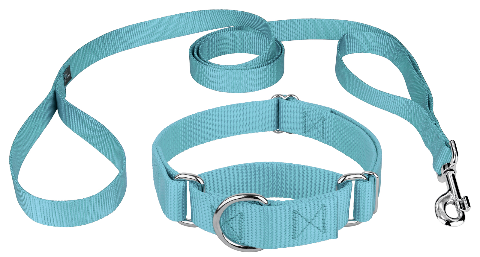 Country Brook Design® Martingale Heavyduty Nylon Dog Collar/Double Handle Leash