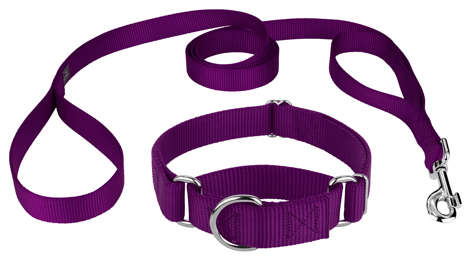 Country Brook Design® Martingale Heavyduty Nylon Dog Collar/Double Handle Leash