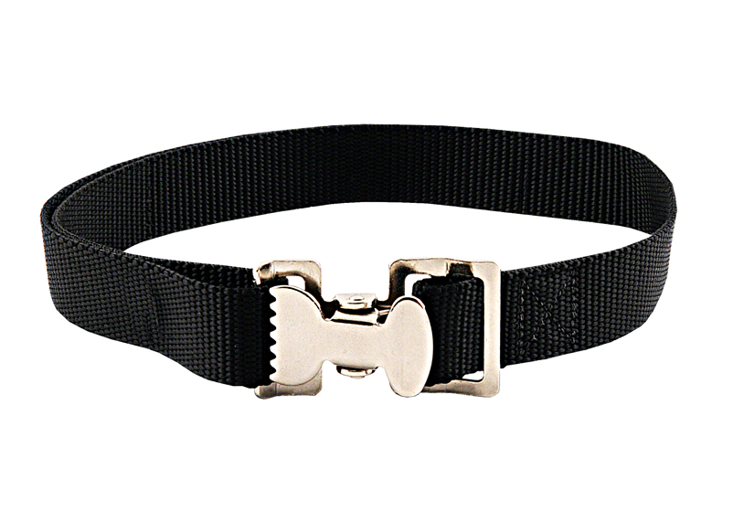 Black Nylon leash with chrome buckles