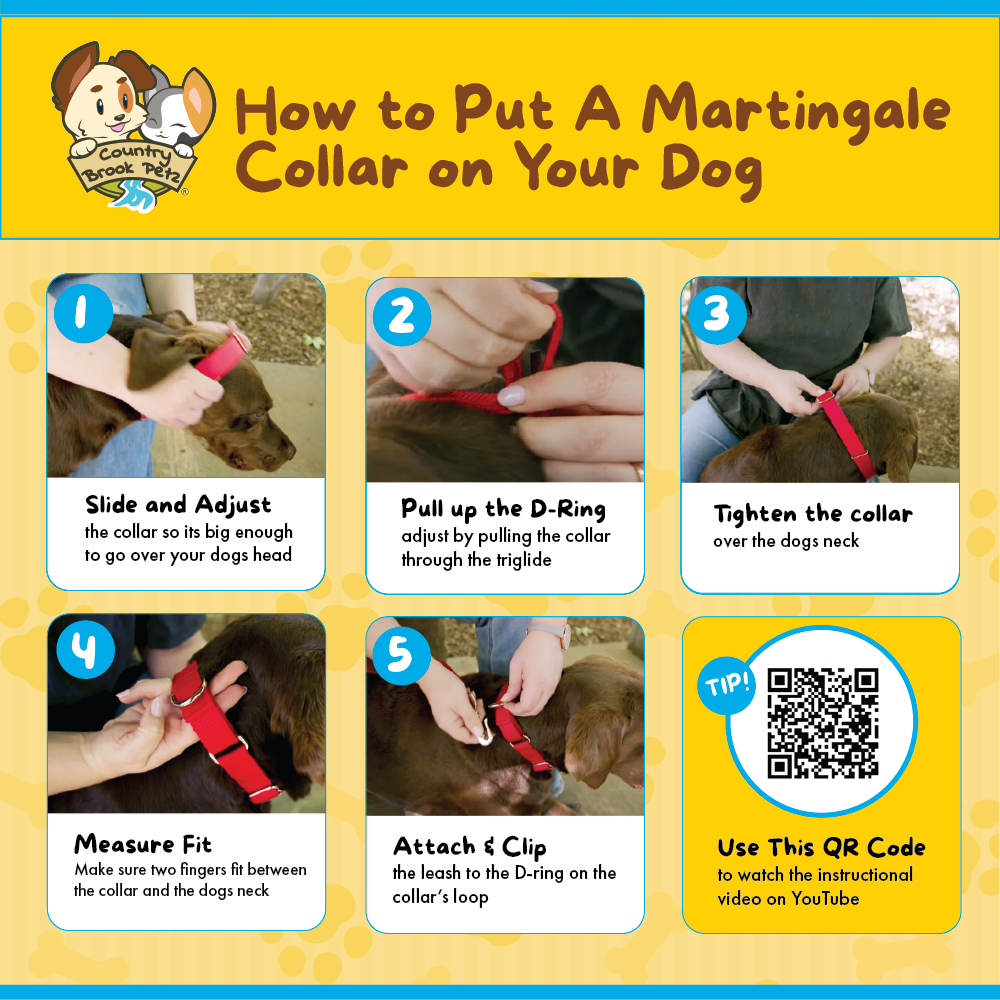 How To Use a Martingale Collar Country Brook Design