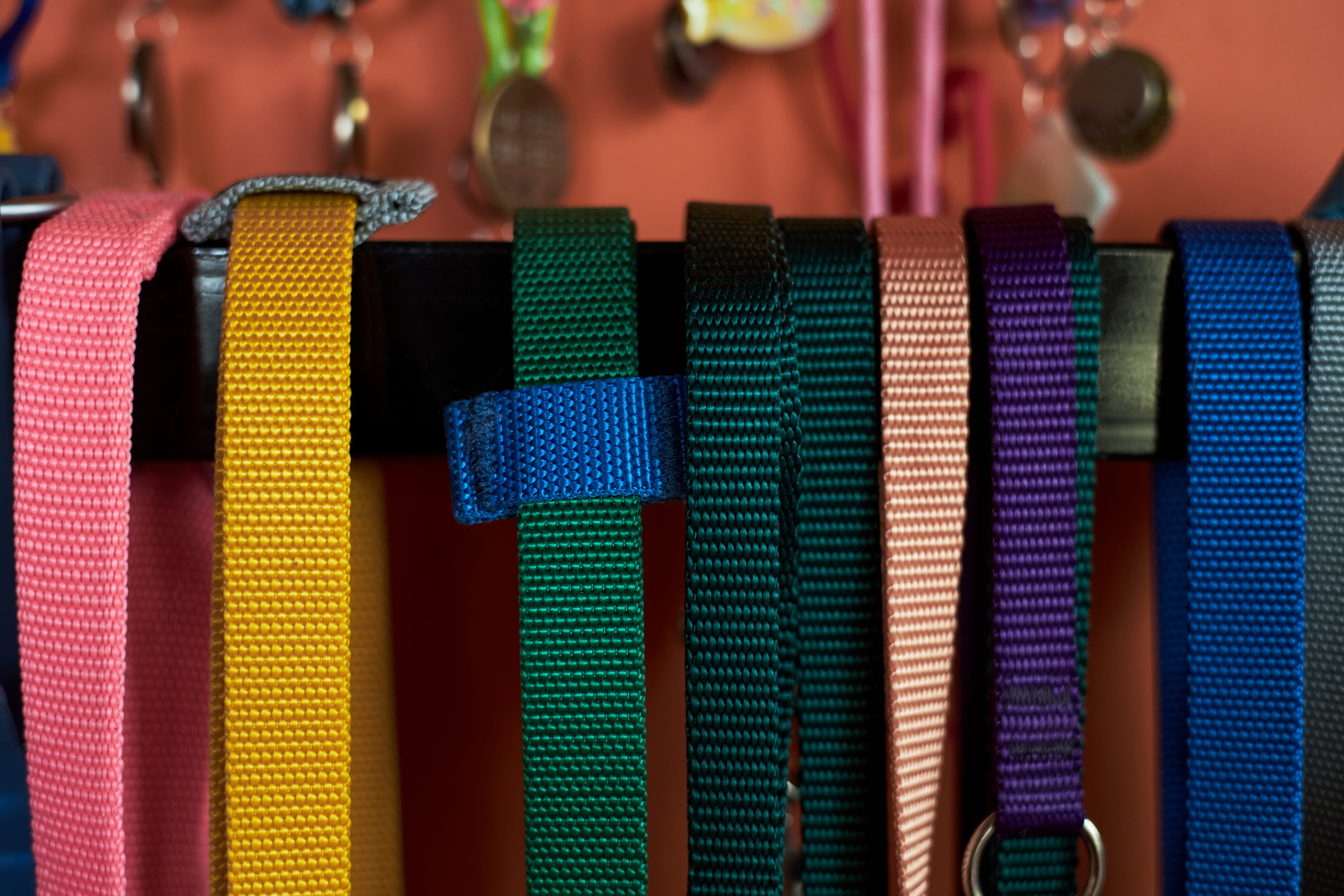 colorful nylon straps with buckles for dog collars