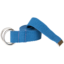 A closeup photo of a blue belt with a silver buckle
